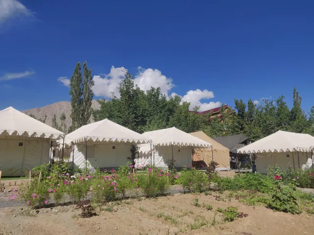 Mountain Camping Resort