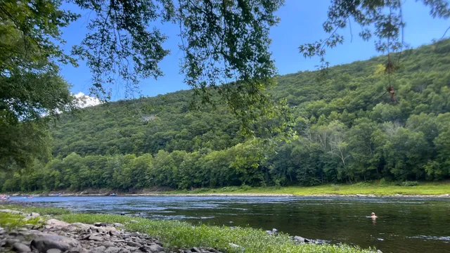 Mongaup Valley Wildlife Management Area & River Access