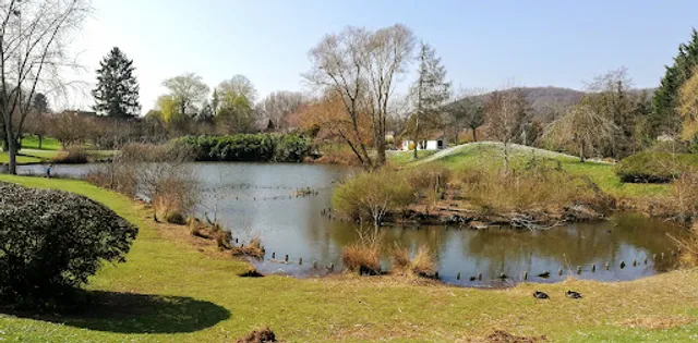Chevreuse ancien lavoir La Mare Aux Canards