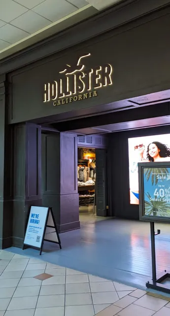 Hollister Co.