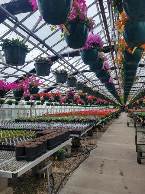 Mini Earth Greenhouses