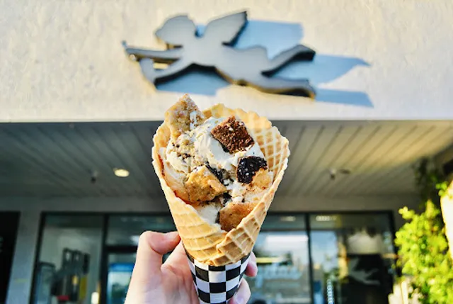 Angela's Organic Ice Cream