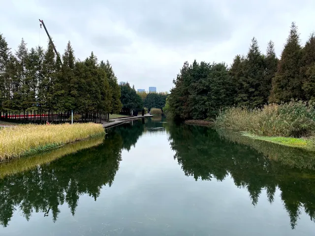 后滩公园（南1门）