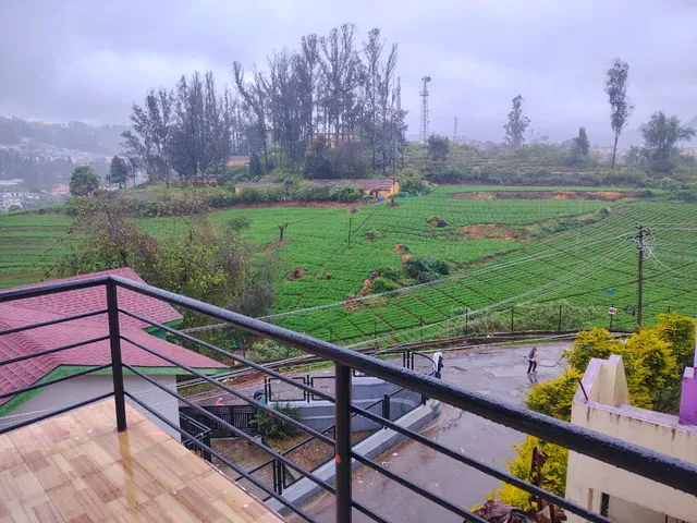 Peace Ark Hill View Cottage