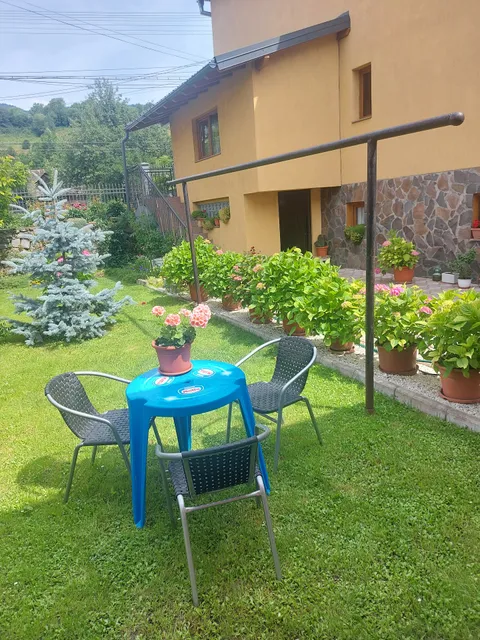 Pensiunea Alexandra Livia