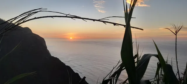 Los Amantes de la naturaleza