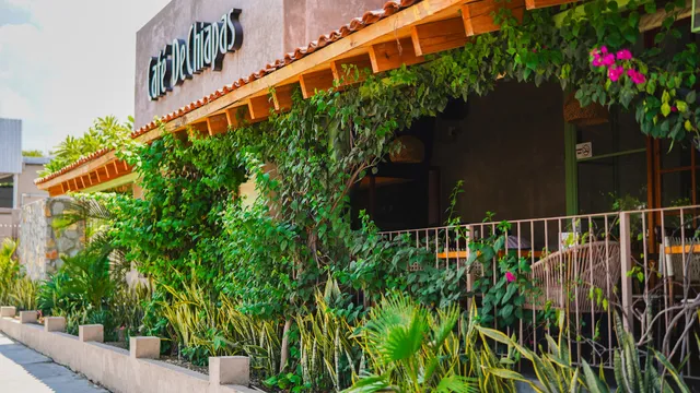 Café DeChiapas Poliforum