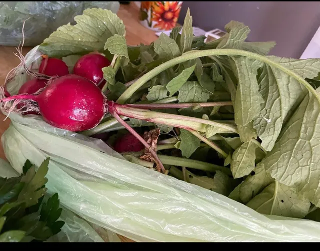 Three Seeds Heirloom
