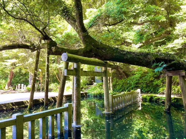 Mitarai Pond