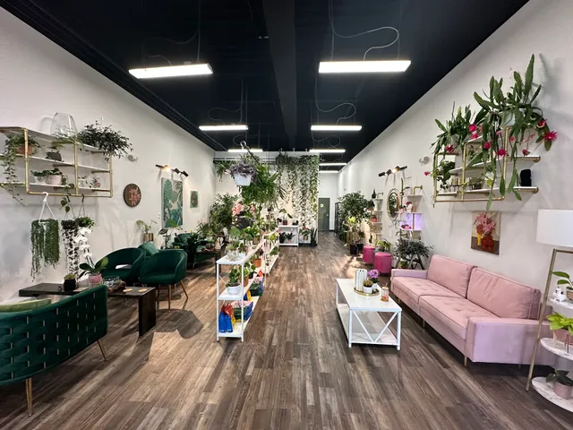 The Plant Lady's House