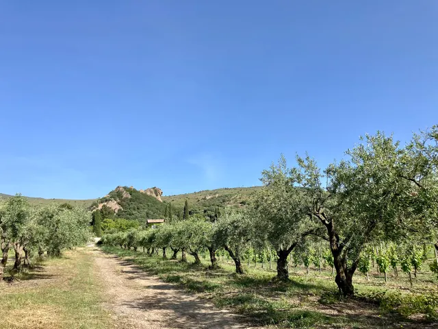 Tenuta Rustìca 1519