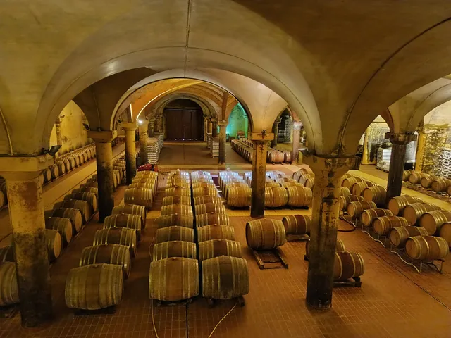 Società Agricola San Fabiano Calcinaia s.r.l.