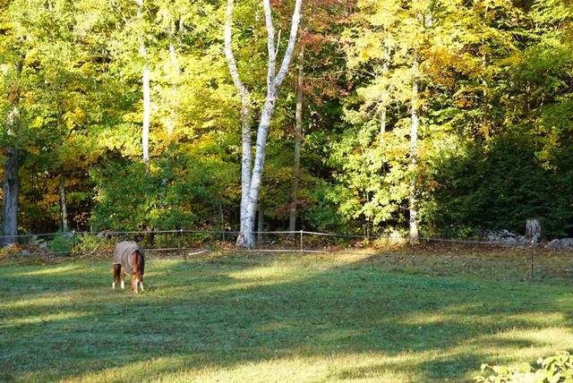 Boulder Brook Stables