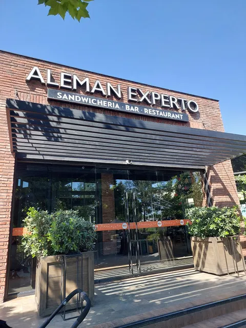 Alemán Experto Chicureo
