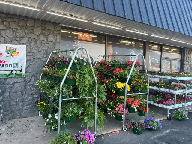 McClendon Ace Hardware