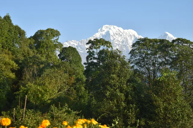 Australian Camp Trail head