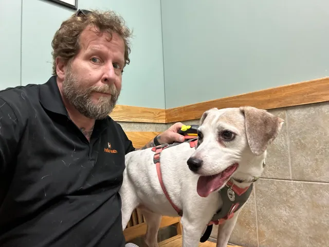 Liverpool Village Animal Hospital