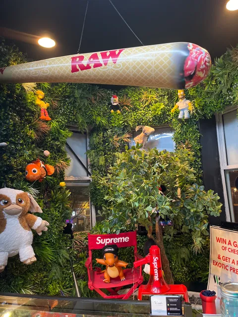 SpaceShip Weed Club at CAPSTERDAM UNIVERSITY