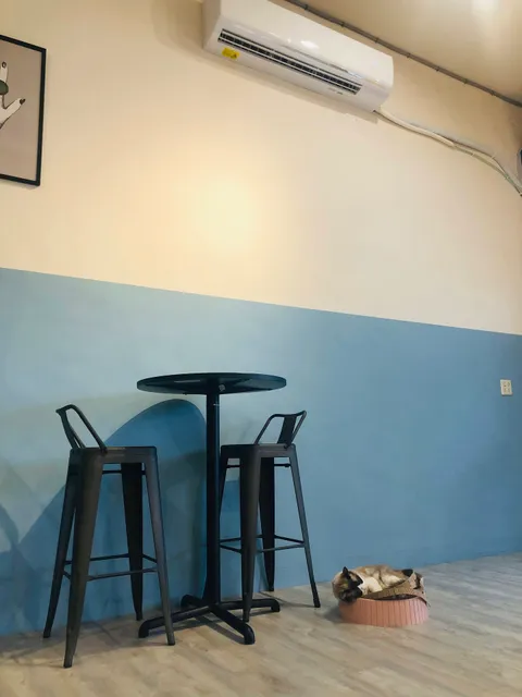 走起擼貓 -Burger & Pasta & Coffee