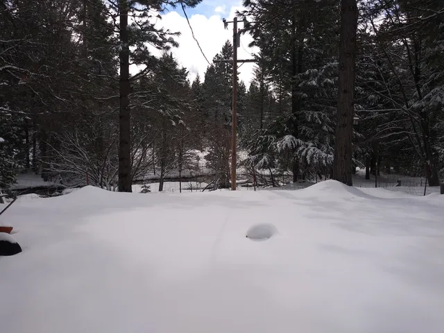 Mt Lassen Art Center