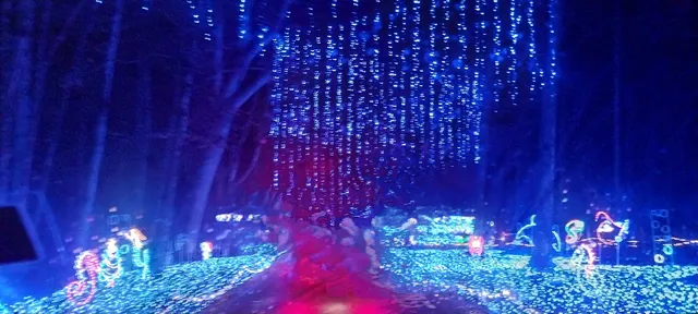 Joy Through The Grove