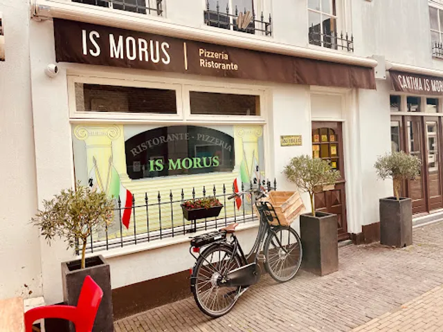Is Morus