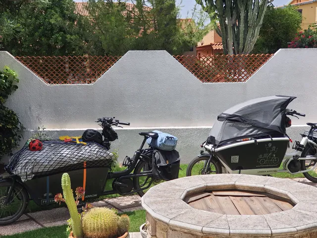 Sole d'oro I.U.N. S4354