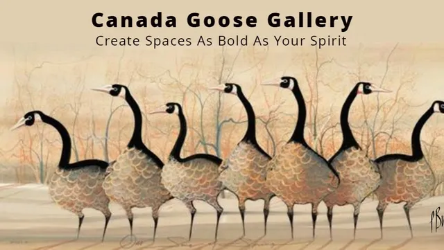 Canada Goose Gallery