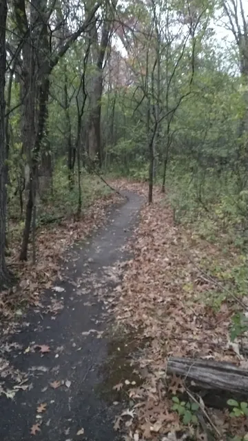 George Friedrich Trailhead