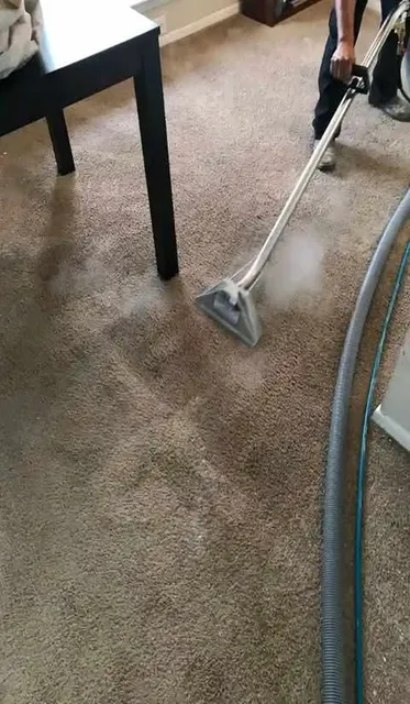 Carpet Cleaning Houston