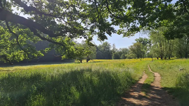 Recreatieboerderij Tergracht - kamperen bij de boer