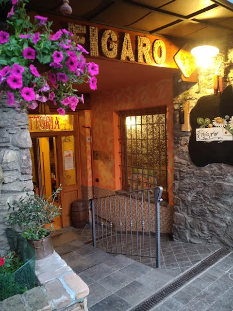 Trattoria Figaro cucina con pizza