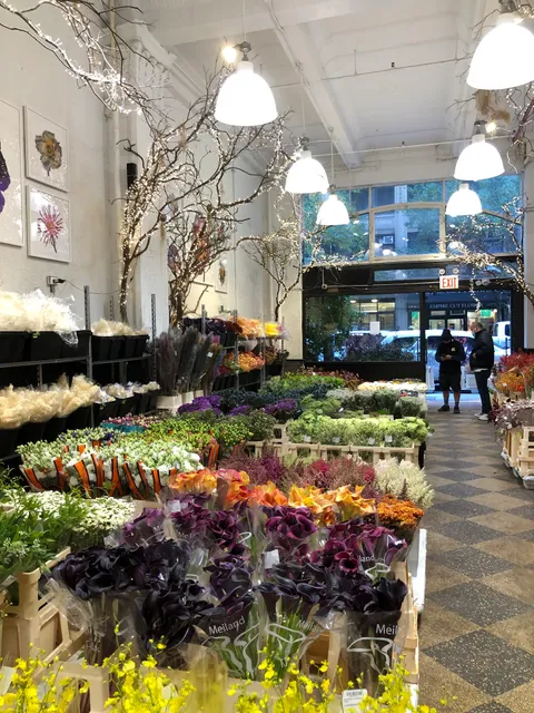 Dutch Flower Line, Inc.