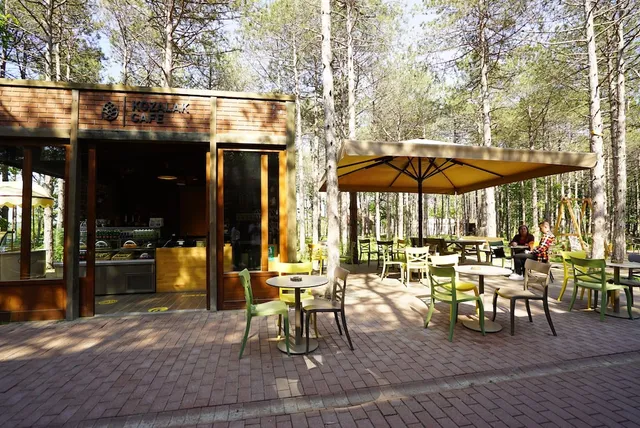 Longosphere Glamping