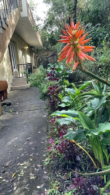 Home Stay End of the Road