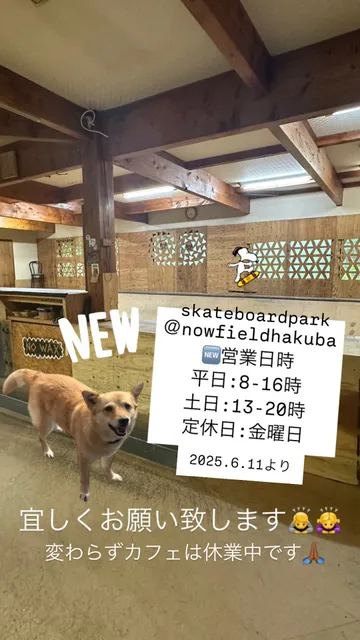 NOW FIELD HAKUBA Skate Board Park