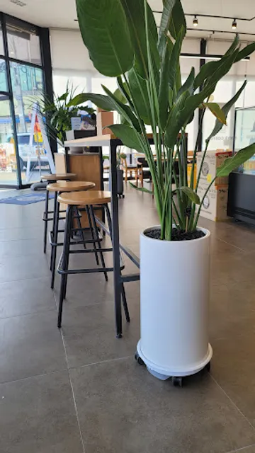 이디야커피 중산점