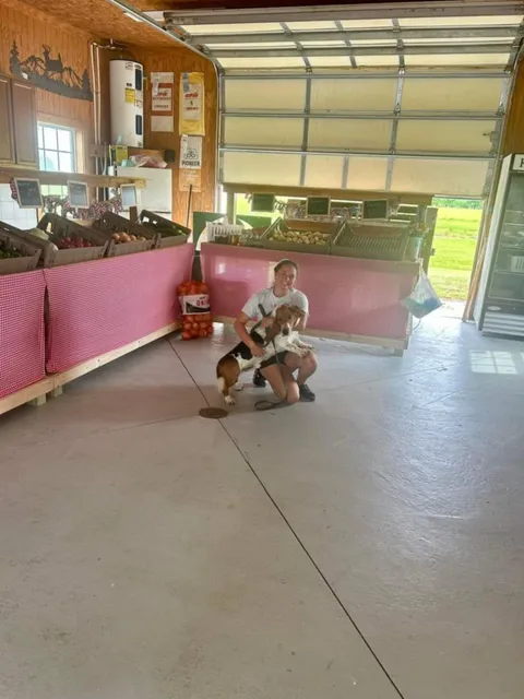 Jackson Farms 158 Produce