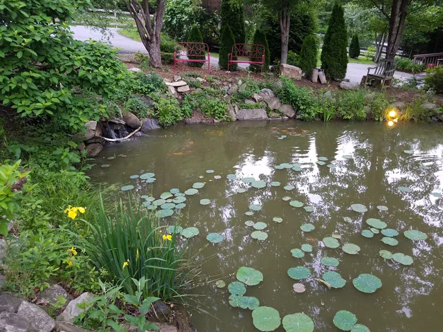 The Cove at Fairview