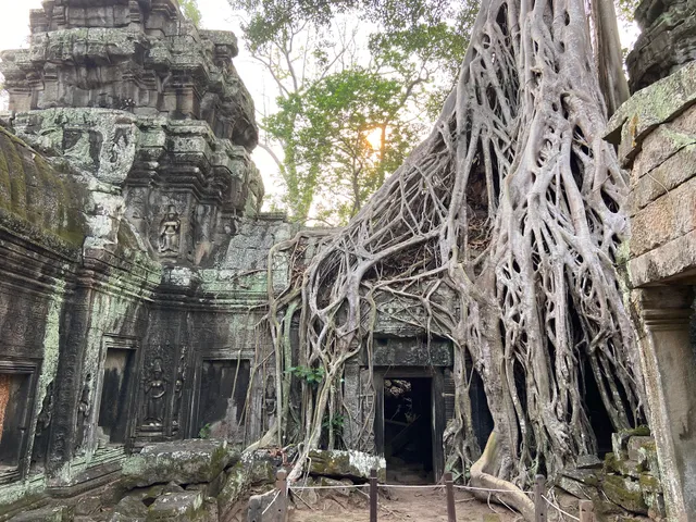 Sothea Angkor Homestay