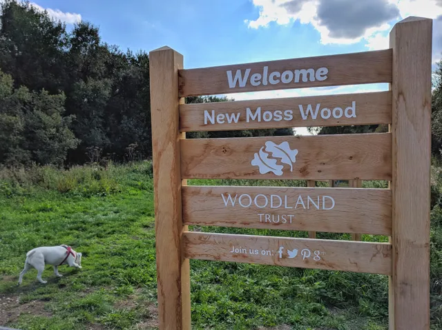 New Moss Wood