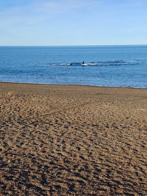 El Doradillo. Puerto Madryn