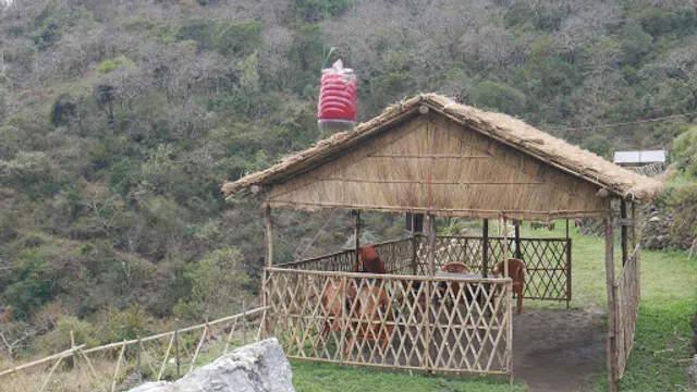 UDDIBABA ORGANIC CAFE