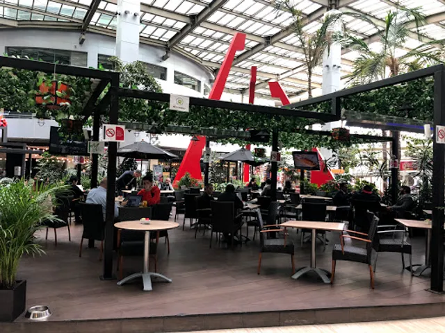 Giornale Parque Interlomas