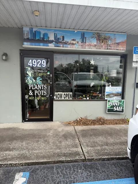 Nursery On Wheels LLC Succulents and other house plants