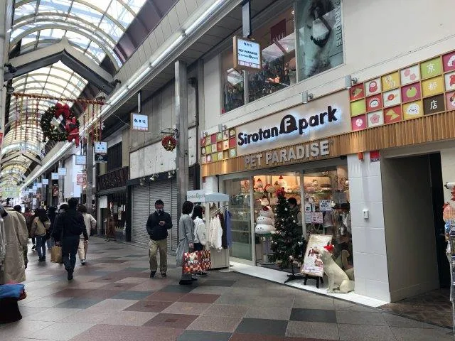 Sirotan & Pet Paradise