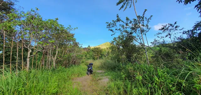 Mt Tarangka Coffe Shop