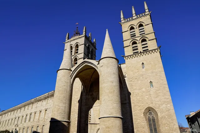 Cathédrale Saint-Pierre de Montpellier