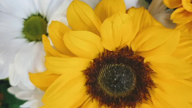 Garden Gate Florist & Gifts