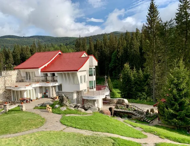 Vila Liliacul Stana de Vale